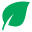 favicon 01